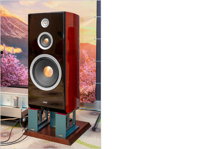 Акустические системы DEER RSS - 3000