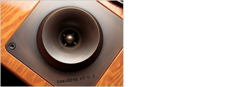 Твиттер Maxonic